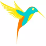 Färgglada colibri