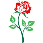 Värillinen ruusu
