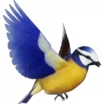 Wektor clipart kolorowy ptak