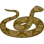 Copperhead käärme kuva