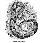 Copperhead orm