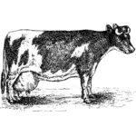 Vector illustraties van grijzende koe