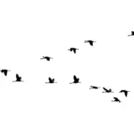 Ptaki latające w formacji
