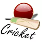 Крикет битой и мячом векторное изображение