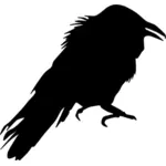 Crow-Vektor-Bild