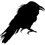 Silhueta de corvo