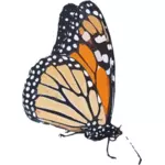 Красочные бабочки Рисование