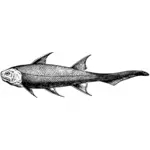 Esihistorialliset kalat