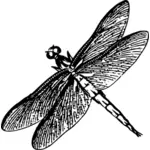 Icona di libellula