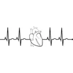 EKG realistisk hjärtat