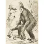चार्ल्स डार्विन बंदर
