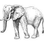 Illustrazione di vettore dell'elefante