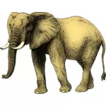 Elefante colorato in giallo