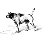 敵対的な意図を持つ別の犬に近づいている犬のベクトル描画