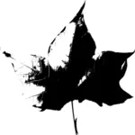 Czarno-biały liść