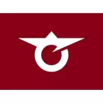 Flaga Senhata, Akita