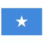 Vector vlag van Somalië