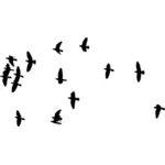 Flock fåglar bild
