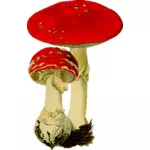 Červené houby dvojice