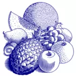 Erilaiset hedelmät kuva