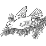וקטור ציור של ציפור חוחית ווילו