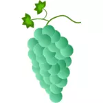 Zielonych winogron
