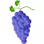 Fiolett druer