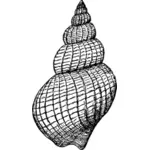 Ilustração de gastrópodes