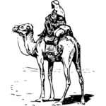 Człowiek jazda camel wektorowa