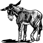 Donkey vektor illustration