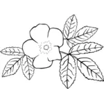 Бесцветный цветок векторное изображение