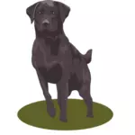 Černé lab pes vektorový obrázek