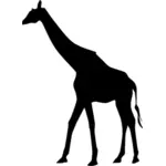 Жираф векторная иллюстрация