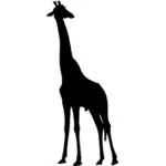 Svart giraff vektorbild