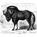 Imagine de ilustrare GNU