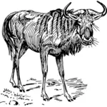 GNU bilde