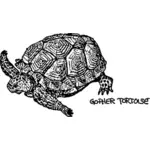 Gopher-Schildkröte