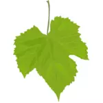 ブドウの葉ベクター画像