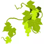 Ilustracja winogron
