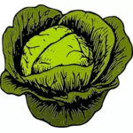 Verdura del cavolo verde