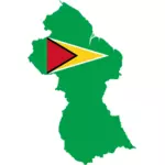 Guyana'nın bayrağı