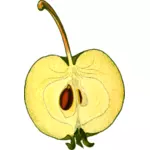 Omenan puolikas