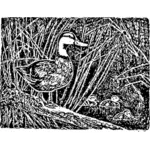 Ördek ve ördek yavrusu illüstrasyon