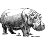 Imagem vetorial de hipopótamo