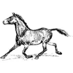 実行中の種牡馬イメージ