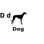 D para cachorro