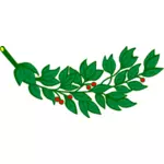 Branche de laurier avec image vectorielle de fruits rouges