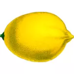 Желтых цитрусовых