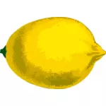 Лимона фрукты
