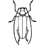 Long - bertanduk kumbang